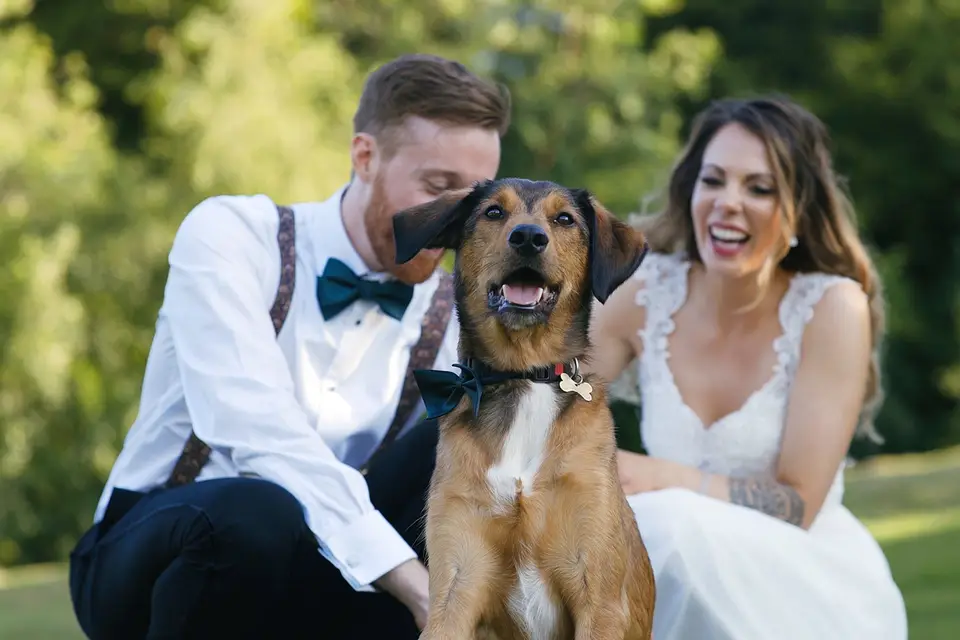 Songbird Wedding Videos — wedding videographers — London portfolio photo 1